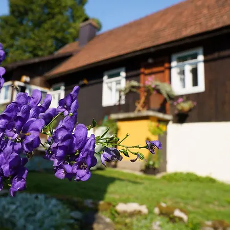 Vakantiehuis House With A Parking Space Delnice, Gorski Kotar - 25166 *