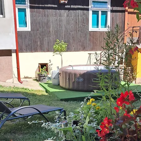 House With A Parking Space Delnice, Gorski Kotar - 25166 Vakantiehuis