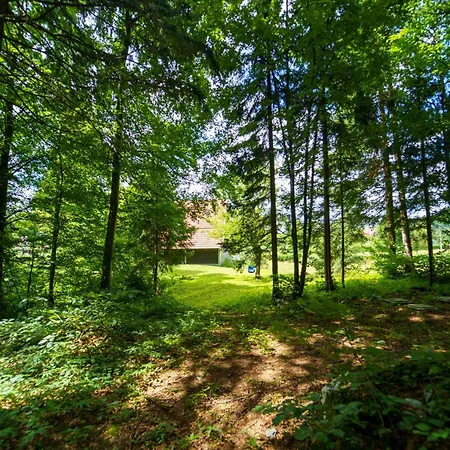 House With A Parking Space Delnice, Gorski Kotar - 25166 Vakantiehuis *