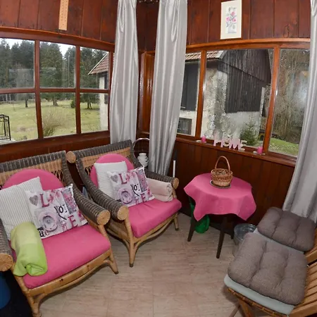 House With A Parking Space Delnice, Gorski Kotar - 25166 Holiday home *